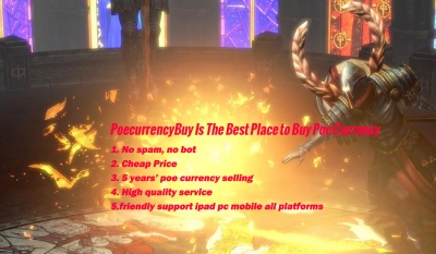 Where Is The Best Place to Buy Cheap,Fast Poe Currency